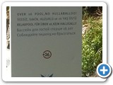 Kein Hullaballoo