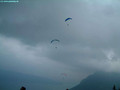 fliegen im Nebel